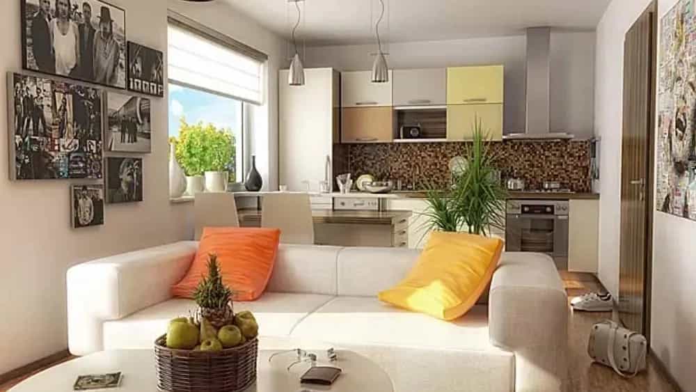 جدیدترین نسخه نرم‌افزار ADEKO و ویژگی‌های آن برای طراحان تهرانی